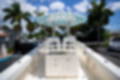 New 2023 Cobia 280 CC image 10