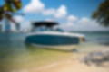 Used 2022 Cobalt R33 OB image 31