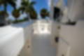 New 2023 Cobia 280 CC image 22