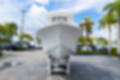 New 2023 Sea Hunt Ultra 239 SE image 3