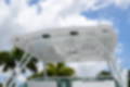 New 2023 Blackfin 302DC image 9