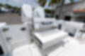 New 2023 Blackfin 302DC image 12