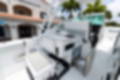 New 2023 Blackfin 302DC image 28