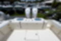 New 2023 Cobia 350 CC image 6