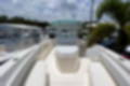 New 2023 Cobia 350 CC image 11