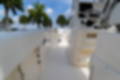 New 2023 Cobia 262 CC image 23