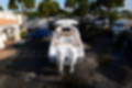 New 2023 Sea Hunt Gamefish 30 CB image 10