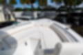 New 2024 Sea Hunt Ultra 234 image 33
