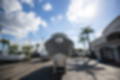 New 2024 Cobia 240 CC image 3