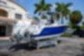 New 2023 Blackfin 252CC image 8