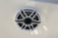 Used 2020 Cobia 301 image 30