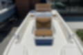 New 2022 Skeeter SX230 image 9