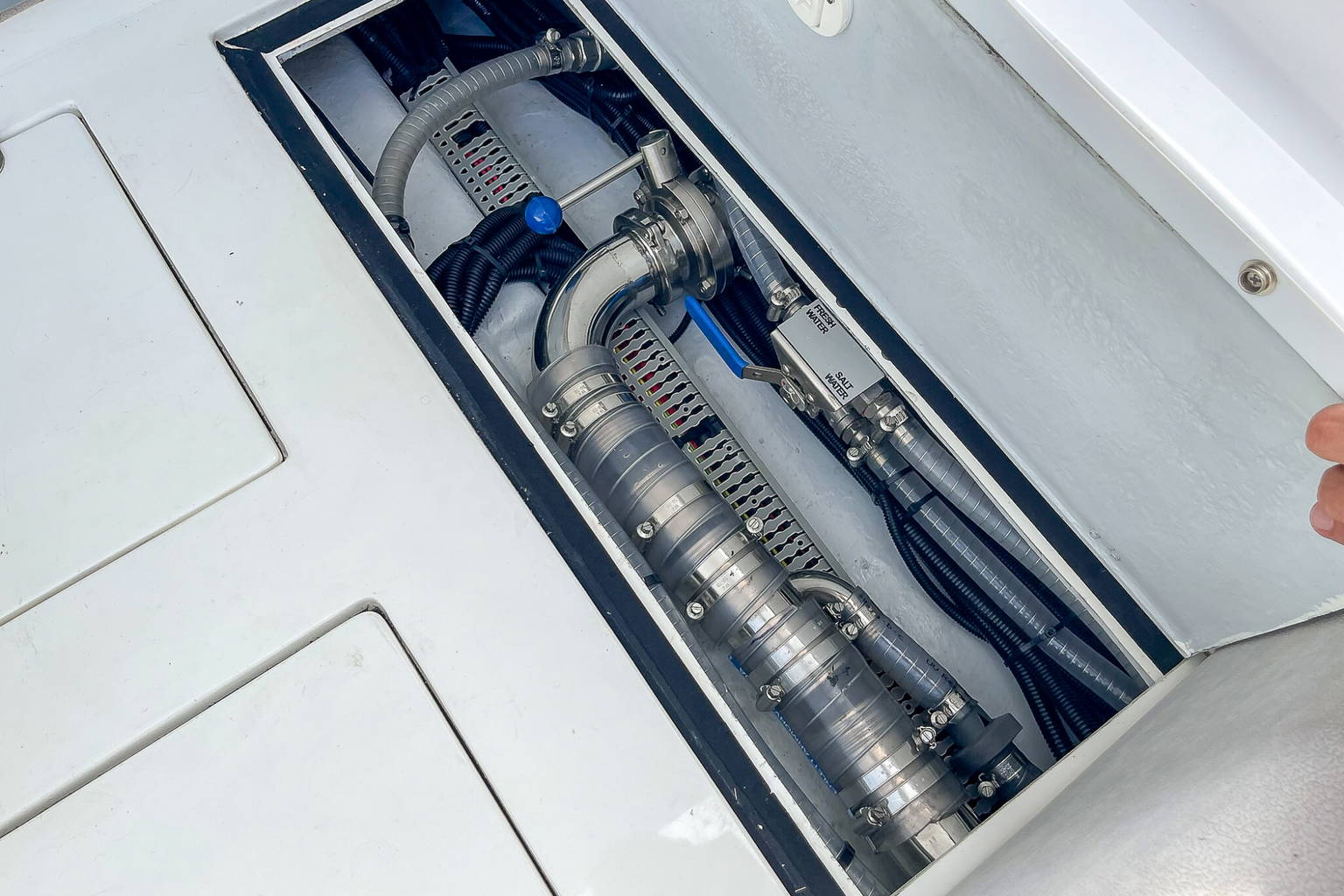 New 2025 Ribco Venom 30 #R30B image 32