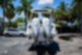New 2022 Cobalt R8 OB image 7