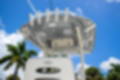 Used 2021 Cobia 220 CC image 13