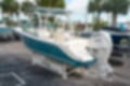 New 2025 Cobia 240 DC image 4