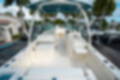 New 2025 Cobia 240 DC image 9