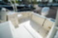New 2025 Cobia 240 DC image 11