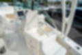 New 2025 Cobia 240 DC image 21