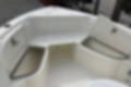 New 2025 Cobia 220 CC image 12
