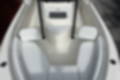 New 2025 Cobia 220 CC image 14