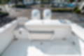 New 2025 Sea Hunt Gamefish 27 CB image 10