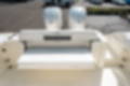 New 2024 Cobia 301 CC image 13