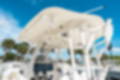 New 2024 Cobia 301 CC image 20