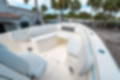 New 2024 Cobia 301 CC image 31