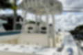 New 2024 Cobia 301 CC image 5