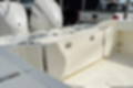 New 2024 Cobia 301 CC image 7
