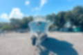 New 2024 Cobia 280 CC image 7