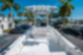 New 2025 Sea Hunt Ultra 229 image 10
