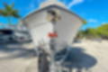 New 2024 Cobia 220 CC image 3