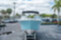 New 2024 Cobia 220 DC image 7