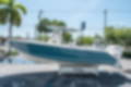 New 2025 Cobia 285 CC image 5
