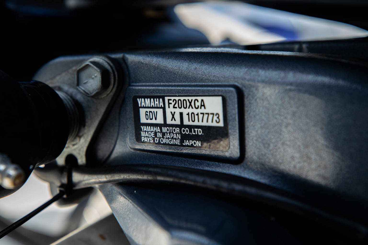 Used 2022 Cobia 280 CC #D020 image 58