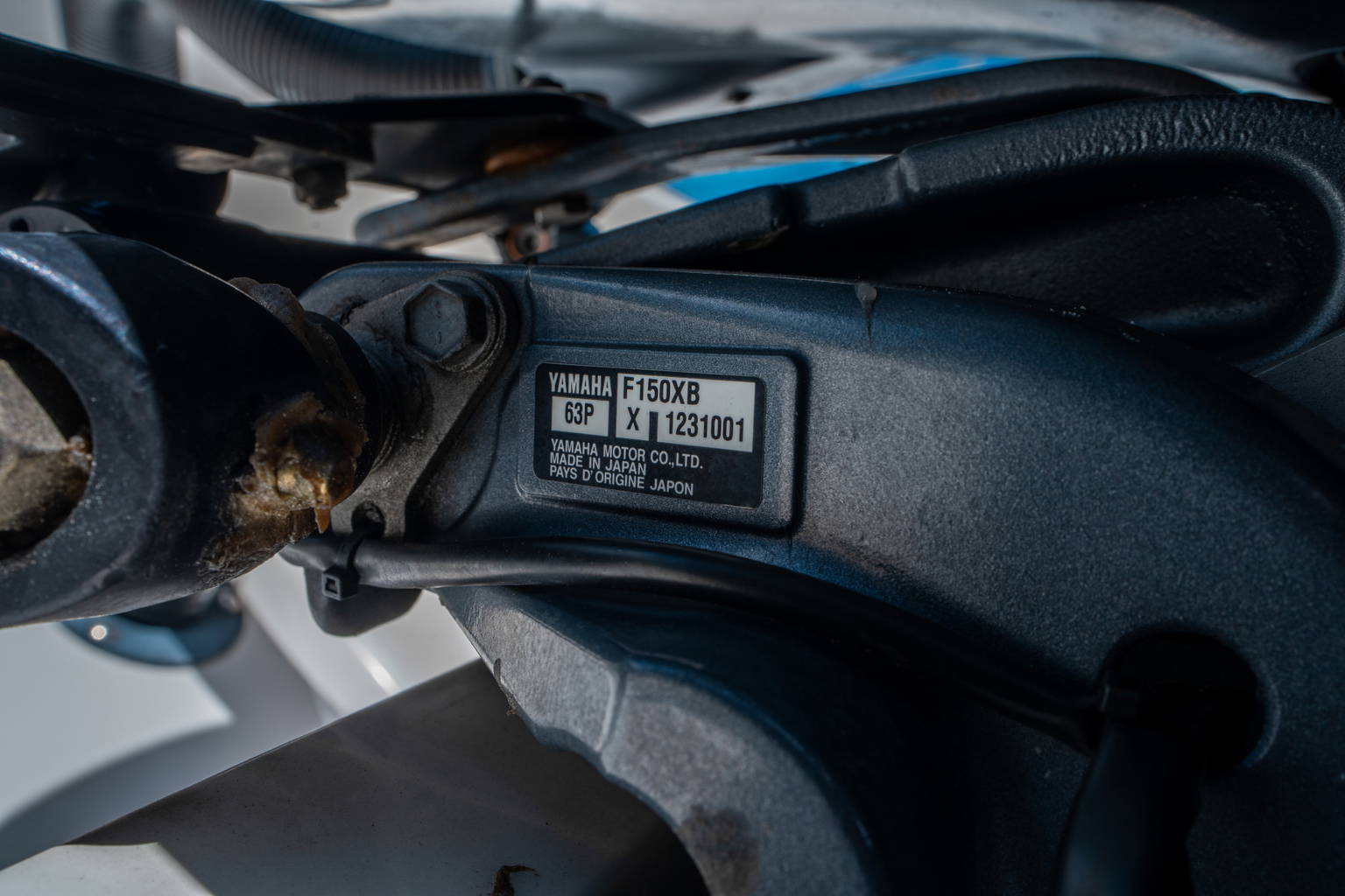 Used 2020 Cobia 240 CC #B052 image 28