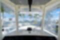 New 2023 Cobia 280 CC image 29