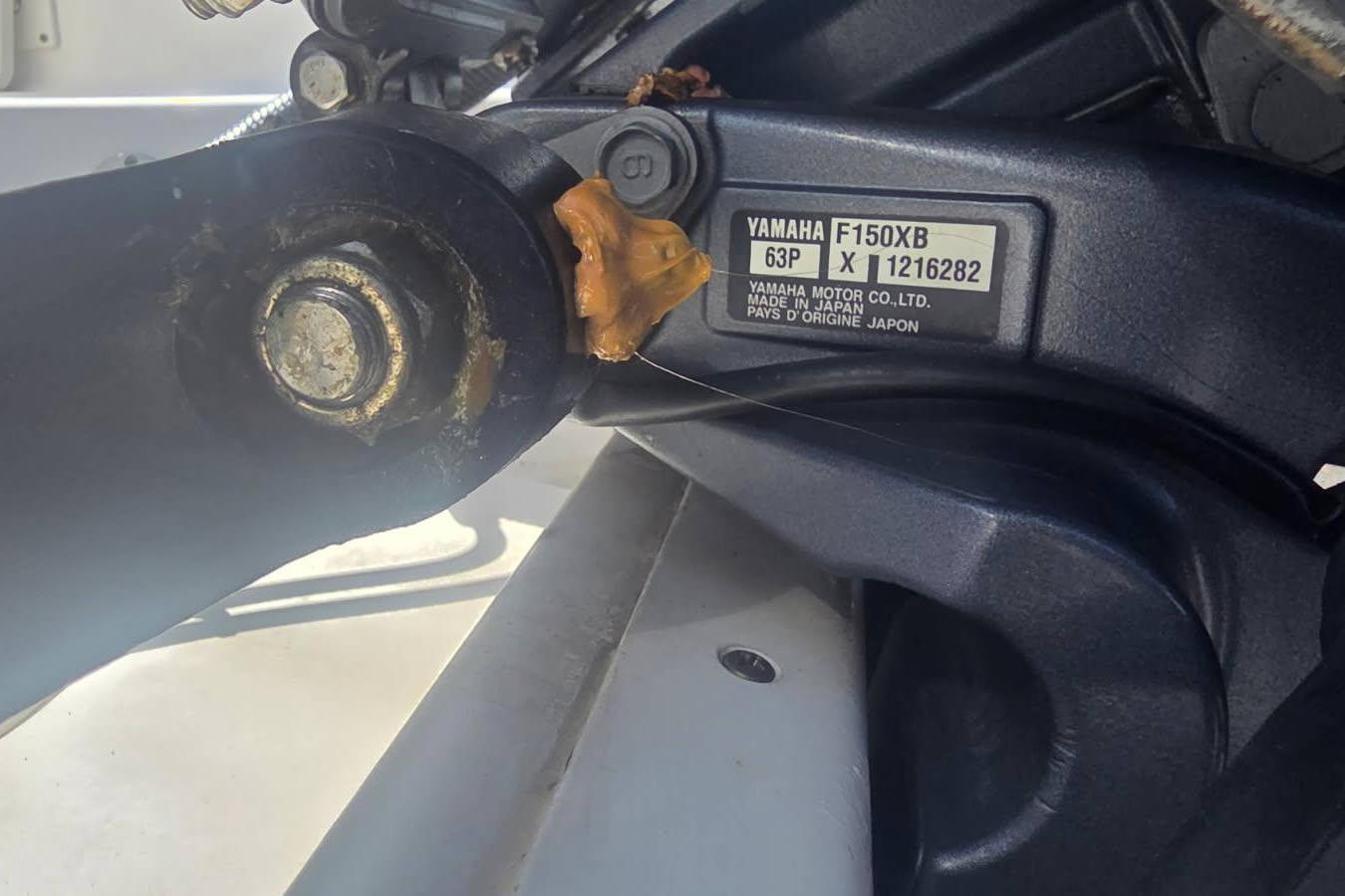 Used 2019 Robalo R242 #017B image 15