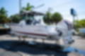 New 2023 Blackfin 332CC image 6