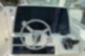 New 2023 Cobia 330 DC image 12