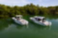 New 2023 Quarken 27 Cabin image 33
