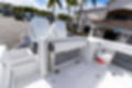New 2023 Blackfin 252CC image 11