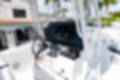 New 2023 Blackfin 252CC image 25