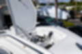New 2023 Blackfin 252CC image 42