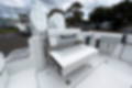 New 2023 Blackfin 332CC image 6