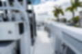 New 2023 Blackfin 302CC image 18