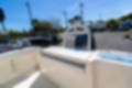 New 2023 Cobia 220 DC image 12