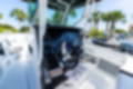 New 2023 Blackfin 302CC image 42